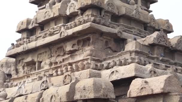 古代の石の寺院 ビーチ寺石に刻まれた 最上部から最下部の石の寺院 マハーバリプラム — ストック動画