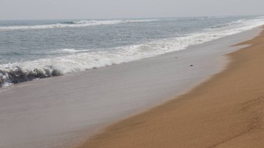 Güzel sahil ve deniz dalgaları