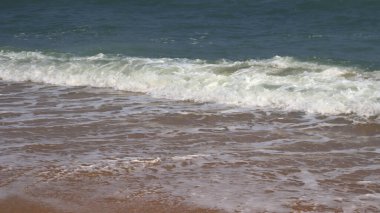 Güzel sahil ve deniz dalgaları