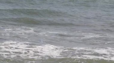 The beach wave and the beautiful beach will rise above the sea wave