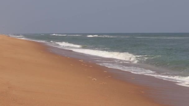 Prachtig Strand Zijn Watergolf Het Prachtig Naar Natuur Kijken — Stockvideo
