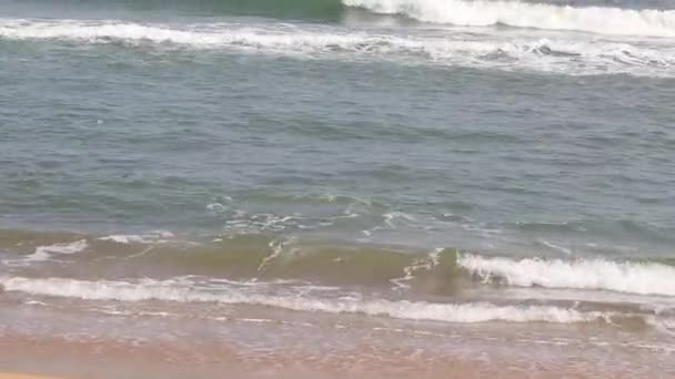 Beach Wave Beautiful Beach Rise Sea Wave — Stok video