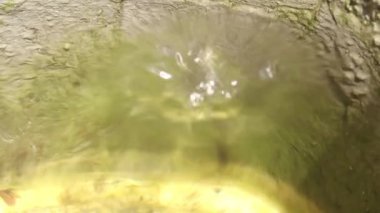 Suya düşer. Suyun titreşimleri suyun içindeki ipek bir daire gibi hareket eder..