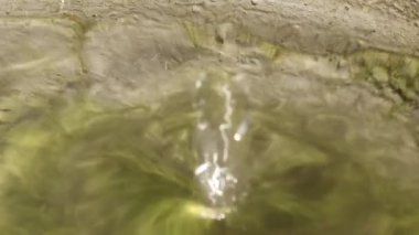 Suya düşer. Suyun titreşimleri suyun içindeki ipek bir daire gibi hareket eder..