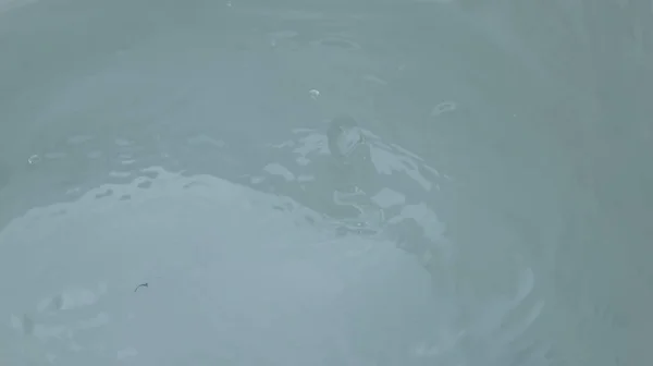 Bulanık Damlacıkları Saf Suyun Arka Planında — Stok fotoğraf