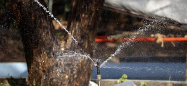 Su püskürtücü su püskürtülür. Bulanık arka planda