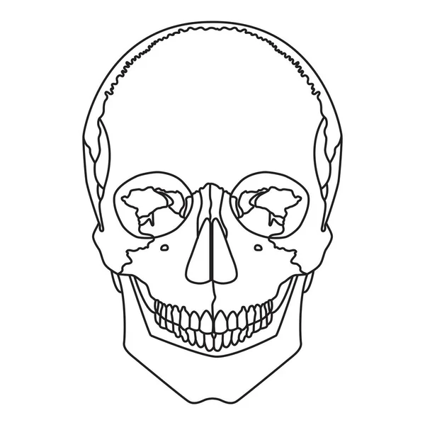 Crâne Humain Contour Vectoriel Sur Fond Blanc — Image vectorielle