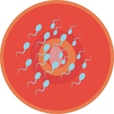 Spermler ve Yumurta Hücresi İnsan Fizyolojisi - Döllenme ve İmplantasyon Konsepti