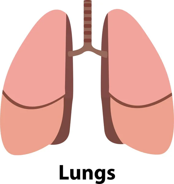 Icono Los Pulmones Estilo Plano Órganos Internos Del Elemento Diseño — Vector de stock