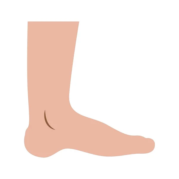 Lidská Noha Vektorová Ilustrace Bílém Pozadí — Stockový vektor