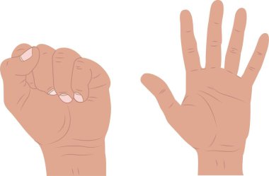 Başparmak uzantısı. Yumruktan iki çizime kadar el sekansı. beyaz arkaplan