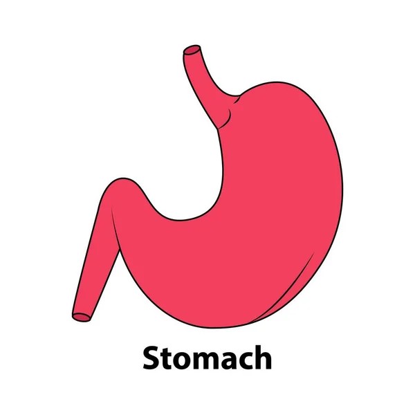 Estómago Humano Órgano Interno Anatomía Ilustración Iconos Planos Dibujos Animados — Vector de stock