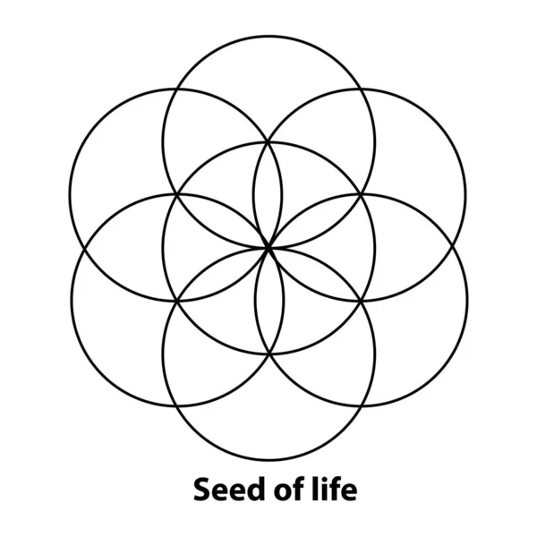 生命的花朵 生命的种子和蛋 几何人物 精神符号和神圣的几何 形成对称花形图案的圆环 白色的图解 — 图库矢量图片