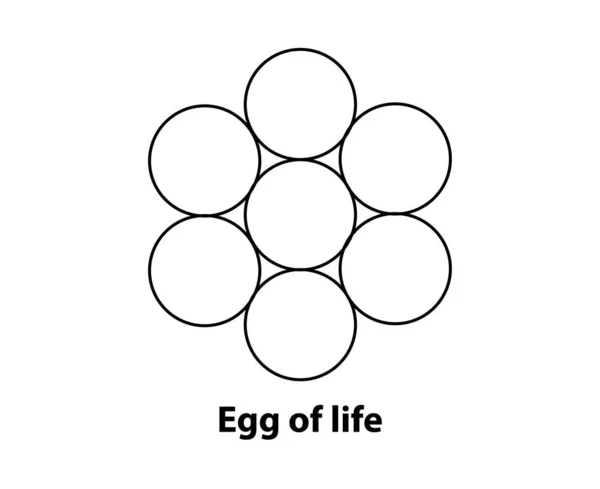 Huevo Vida Una Las Formas Básicas Geometría Sagrada — Archivo Imágenes Vectoriales