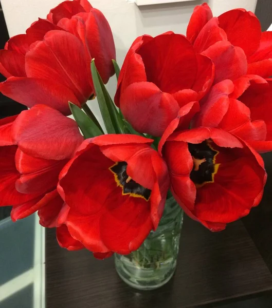 Güzel bahar kırmızı laleleri. buket