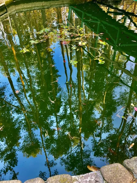 Parkta küçük havuz