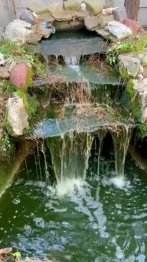 Parktaki havuzda küçük bir şelale