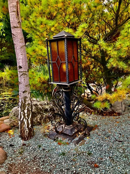 ilginç turuncu fener ağaçların ve çalıların yanında