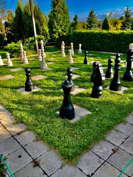 Büyük park satrancı ve parktaki açık hava