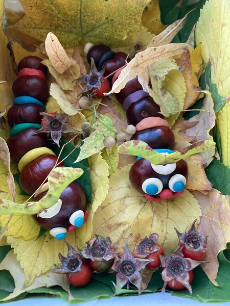 Kestane ve sonbahar yaprakları anaokulunda ya da okulda el sanatları içindir. Tırtıllar.