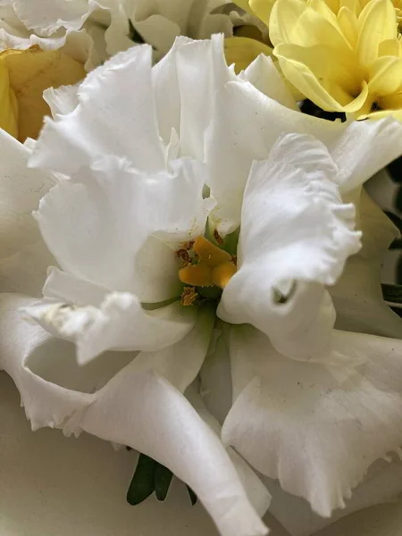 Bir buket çiçekli bir sepet. Güller ve kasımpatılar pembe arka planda bir sepette.