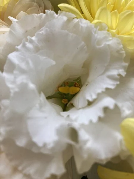 Bir buket çiçekli bir sepet. Güller ve kasımpatılar pembe arka planda bir sepette.