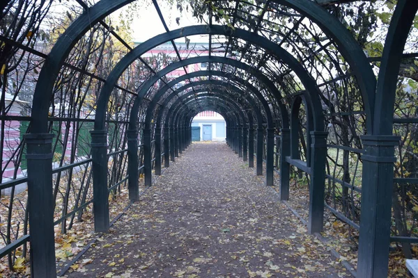 Flower Arch Autumn Kuskovo Park — Stock Photo, Image