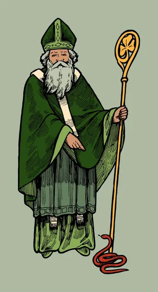 San Patricio Apóstol Irlandés Figura Completa Con Bastón Una Serpiente — Archivo Imágenes Vectoriales
