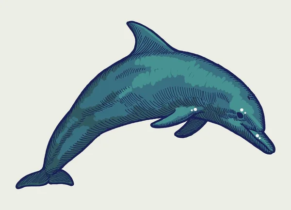 Dolphin Jumping Isolated Realistic Vector Illustration — Vector de stock