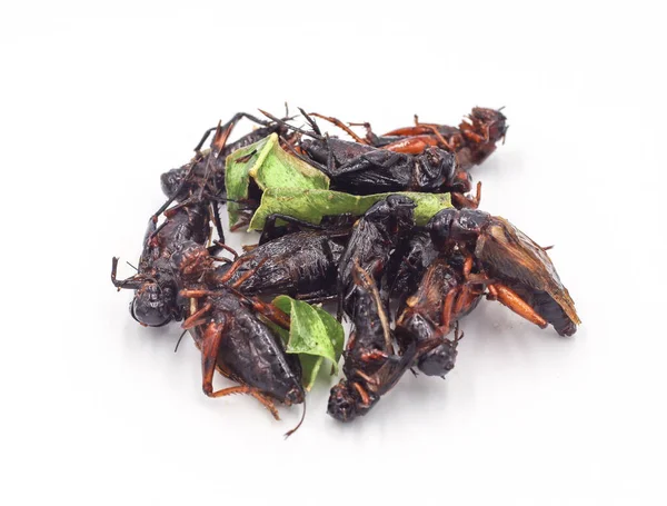 Fried Insects Fried Crickets Grasshopper Kaffir Lime Leaves Isolated White — Stock Photo, Image