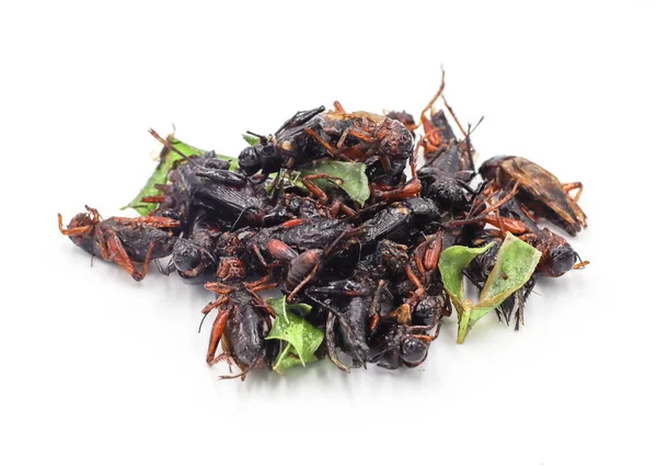 Fried Insects Fried Crickets Grasshopper Kaffir Lime Leaves Isolated White — Stock Photo, Image