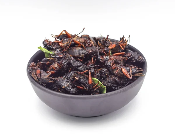Fried Insects Fried Crickets Grasshoppers Kaffir Lime Leaves Black Cup Stock Picture