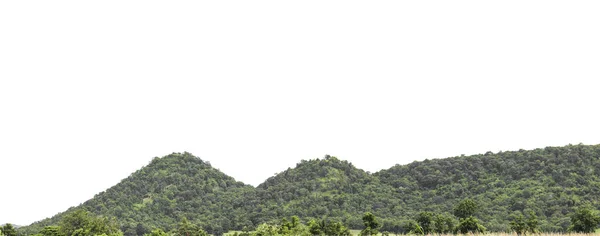 緑の森の木々が白い背景に隔離された岩山 — ストック写真