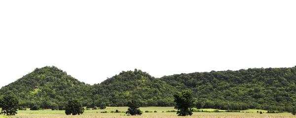 緑の森の木々が白い背景に隔離された岩山 — ストック写真