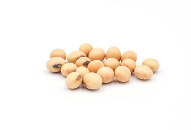 soya tohumları beyaz arkaplanda izole