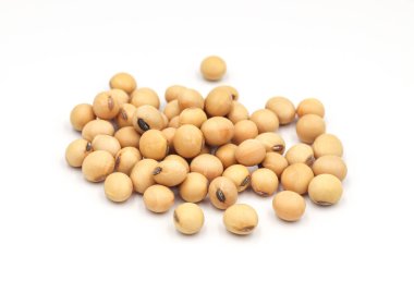 soya tohumları beyaz arkaplanda izole