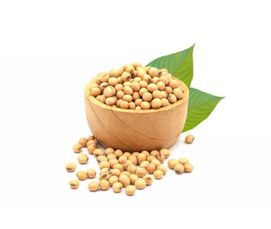 Beyaz arka planda yeşil yapraklı ahşap kasede soya fasulyesi tohumları.