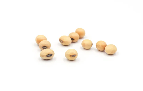 Soybean Seeds Isolated White Background Stock Image