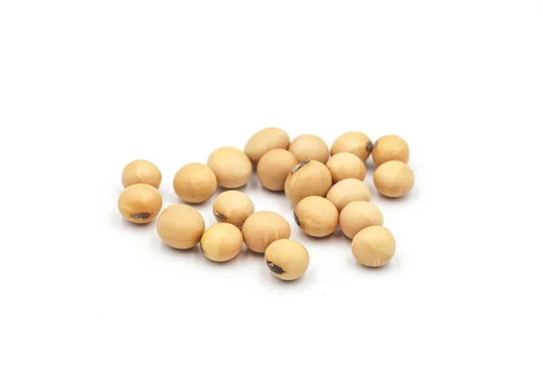 Soybean Seeds Isolated White Background Royalty Free Stock Images