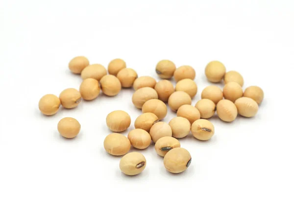 Soybean Seeds Isolated White Background Royalty Free Stock Photos
