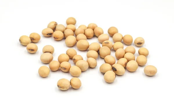 Soybean Seeds Isolated White Background Royalty Free Stock Images
