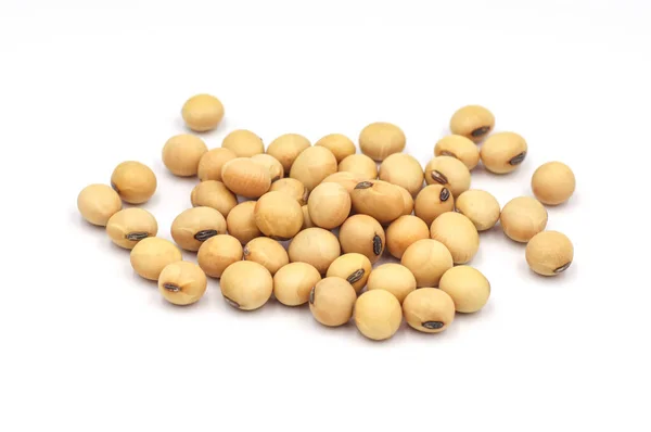 Soybean Seeds Isolated White Background Stock Photo