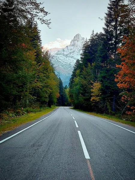 O vedere asupra drumului de lichidare. O scenă de toamnă cu un drum curbat și foioase galbene și conifere pe ambele părți într-o pădure alpină. Rusia Karachay-Cherkessia Dombay — Fotografie de stoc gratuită