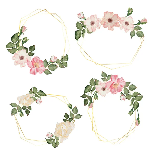 Aquarell Blühende Rose Zweig Blume Strauß Kranz Abzeichen Gold Rahmen — Stockvektor