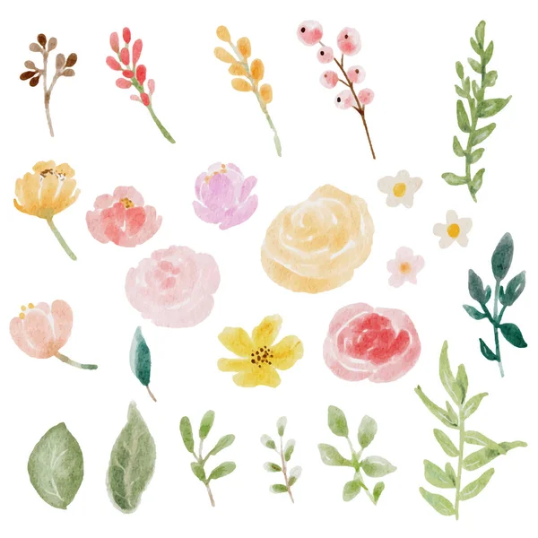 疏松的水彩艳丽的玫瑰和野花的花束元素隔离在白色背向数字绘画中 — 图库矢量图片