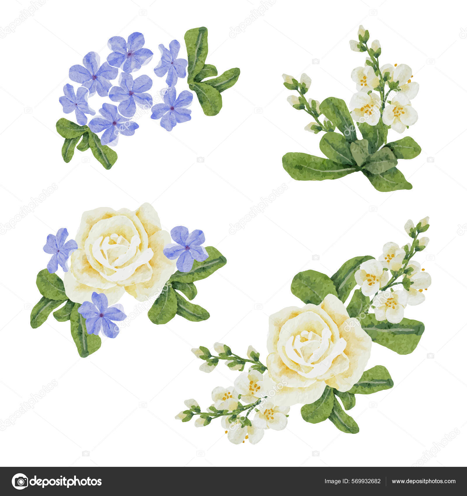 36,716,956 Plumbago Stock Illustrations | Depositphotos 36,716,956 Plumbago Stock Illustrations | Depositphotos