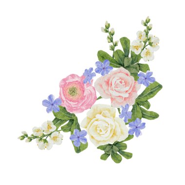 suluboya güzel pembe ve beyaz gül, ranunculus ve mavi Plumbago auriculata çiçek buketi clipart dijital resim
