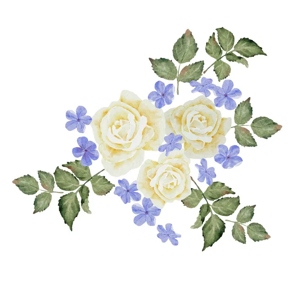 Aquarell Schöne Weiße Rose Und Blau Plumbago Auriculata Pflanze Blumenstrauß — Stockvektor