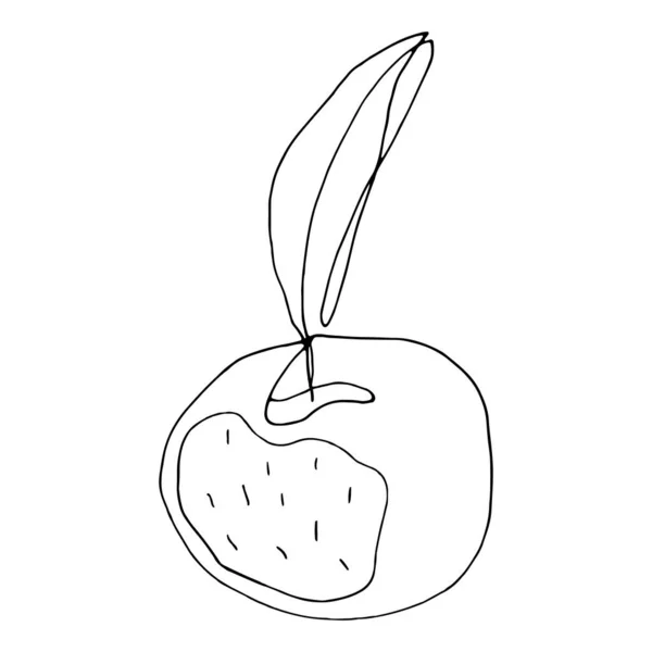 Ilustração Vetorial Minimalista Uma Fruta Pêssego Com Galho Folhas Ilustração — Vetor de Stock