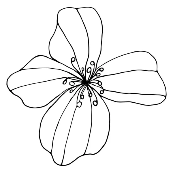 Персиковый Цветок Дудл Контурная Иллюстрация — стоковый вектор